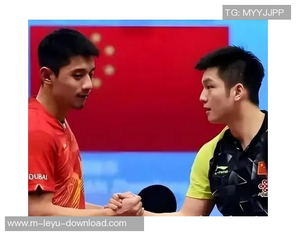 张继科与樊振东巅峰对决乒乓球赛场上的传奇之战与未来之星的较量