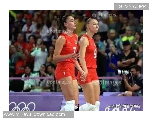 2017年中国女排与塞尔维亚女排巅峰对决回顾与精彩瞬间分析